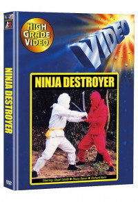 Ninja Destroyer Cover E