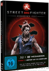 Street Fighter: Assassin's Fist [Webserie] Cover C