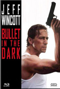 Bullet in the Dark Cover C