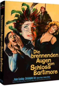 Die Brennenden Augen von Schloss Bartimore Cover B